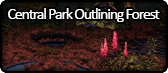 Central Park Outlining Forest.png