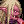 Icon-Screaming Dark Elf Zombie.png